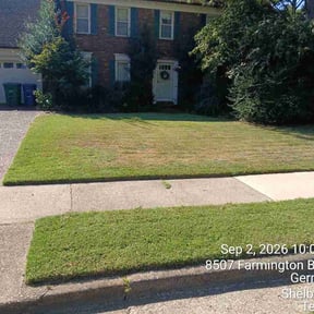 Leaf Removal by Ks lawncare reviewed on September 13, 2026