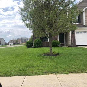 yard maintenance by Indy's Grass Slingers. LLC. reviewed on August 17, 2025