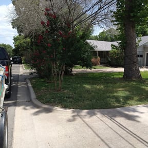 Bush Trimming by Tonys Landscaping LLC reviewed on August 19, 2025