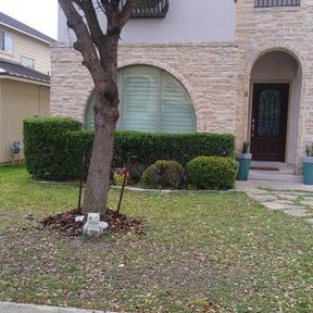 Bush Trimming by Frederickson Lawn Management reviewed on August 19, 2025