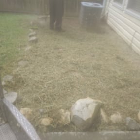 Flower Bed Weeding by Freedom Lawn Care LLC reviewed on August 17, 2025