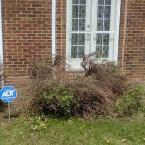Bush Trimming by Bean Sprout Lawn Service LLC reviewed on August 20, 2025