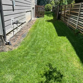 residential landscaping by JDAA Lawn Care Service LLC reviewed on August 16, 2025