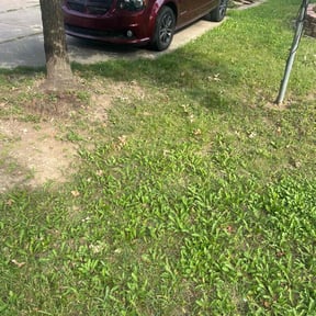 Flower Bed Weeding by Tulsa Lawn Care reviewed on October 24, 2025