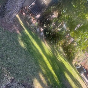 lawn maintenance by Do it all reviewed on August 30, 2023
