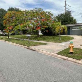 yard maintenance by Shane Ray reviewed on December 11, 2025