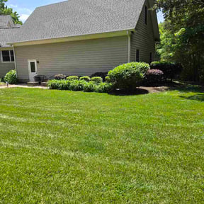 Bush Trimming by EP Remodeling LLC reviewed on May 10, 2026