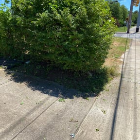 Bush Trimming by Monroeville lawn service reviewed on August 17, 2025