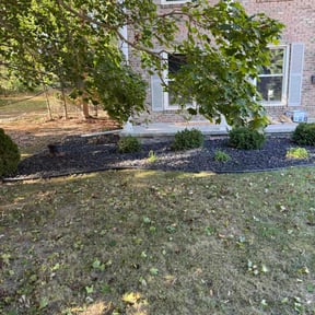 Flower Bed Weeding by EZe quality scapes reviewed on November 10, 2025