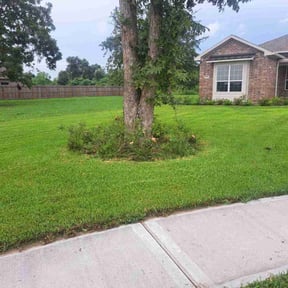 turf maintenance by A-1 Affordable Lawn Care reviewed on October 16, 2024