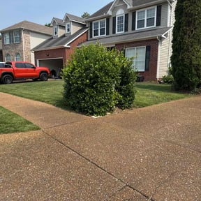 grass maintenance by Teel Lawn & Landscape reviewed on August 18, 2025