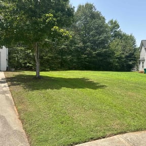 yard maintenance by Dexter Wright reviewed on August 17, 2025