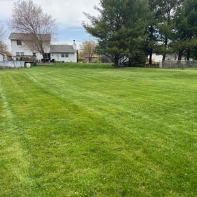 landscaping by Trill Landscaping reviewed on August 15, 2025