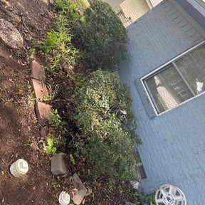 Bush Trimming by Good Guys reviewed on August 18, 2025