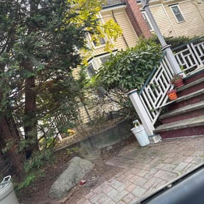 Bush Trimming by Lawn Care Co. reviewed on December 31, 2025