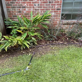 Flower Bed Weeding by T.R. Integrated Services reviewed on August 18, 2025