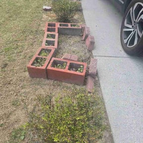 Bush Trimming by Michael Ritchie reviewed on March 29, 2026