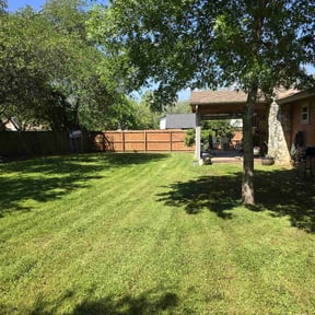 yard maintenance by Green Envy reviewed on August 17, 2025