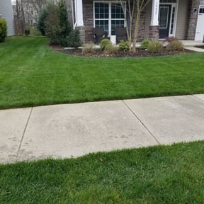 Landscaping by Cams lawncare reviewed on June 20, 2022