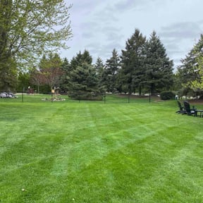 landscape maintenance by Nate's Scapes reviewed on August 18, 2025