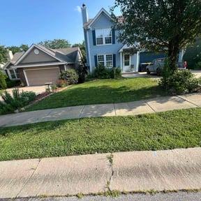 yard maintenance by Medina&#039;s Landscaping  reviewed on November 24, 2025