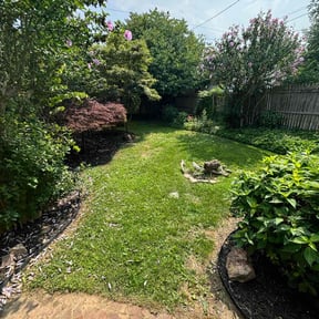 turf care by Manuel&#039;s lawn care reviewed on May 15, 2024