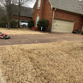 Leaf Removal by Buddys Mow Blow Go Lawncare reviewed on August 17, 2025