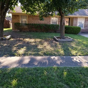 Bush Trimming by Southern Blossoms Landscaping reviewed on August 15, 2025