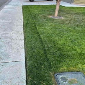 landscape maintenance by Hoodzow ink reviewed on August 15, 2025
