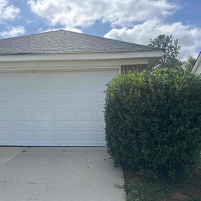 Bush Trimming by Forever Green FG LLC reviewed on November 8, 2025