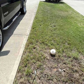Bush Trimming by Mauler Mowing LLC reviewed on July 5, 2026