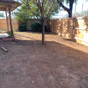 Leaf Removal by Andrés Cuts reviewed on August 16, 2025