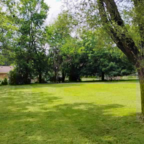 residential landscaping by Thomas Lawn Care Service reviewed on August 16, 2025