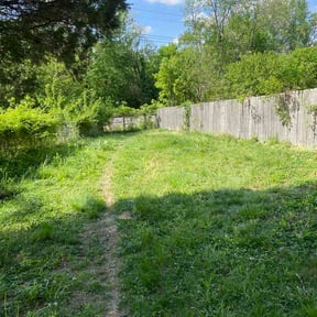 Leaf Removal by Sequoias lawn care reviewed on April 17, 2026