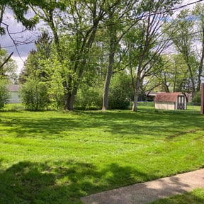 lawn care services by Paint by Ponch reviewed on August 15, 2025