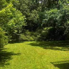 yard work by WRA UNLIMITED SERVICES reviewed on August 17, 2025