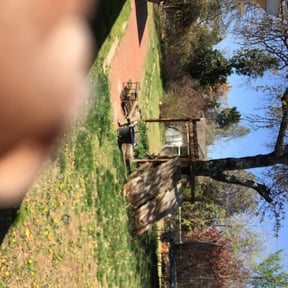 Leaf Removal by Ken and Jen Lawn Care LLC reviewed on October 1, 2025