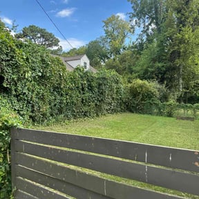 Bush Trimming by Ernst Landscaping reviewed on August 17, 2025