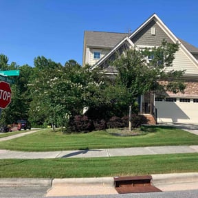 lawn care by Phase Systems Renovation LLC reviewed on August 21, 2025