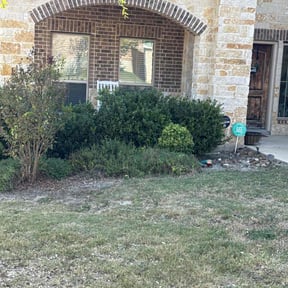 Flower Bed Weeding by RDW Improvements reviewed on October 18, 2025