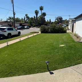 gardening service by Smack Down lawns and tractor services reviewed on August 17, 2025