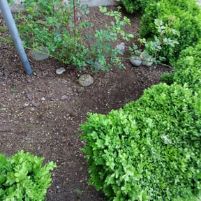 Flower Bed Weeding by 4izzy inc reviewed on August 18, 2025