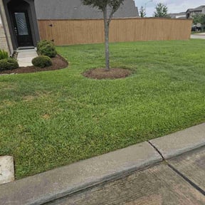 turf care by Above the Lawn reviewed on August 18, 2025