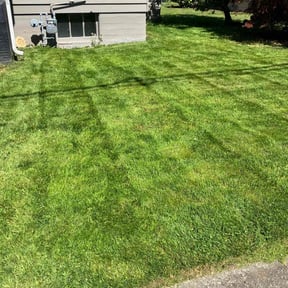 lawn care services by Diamond Cut Home and Lawn Services reviewed on August 28, 2024