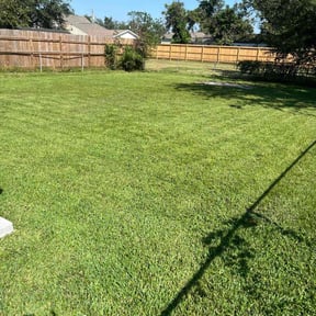 yard service by Rod Lawn Service reviewed on August 16, 2025