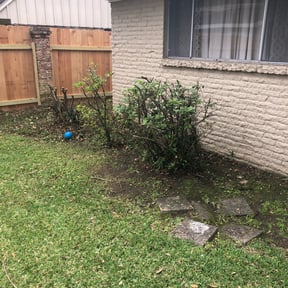 Bush Trimming by V&amp;E Landscaping and Lawn Care.... reviewed on November 28, 2023