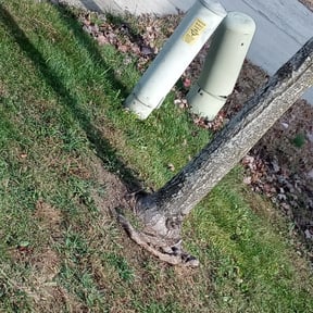 Leaf Removal by Qui property management reviewed on September 22, 2025