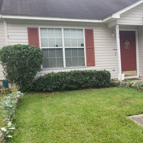 Bush Trimming by Lawn Bud reviewed on August 15, 2025