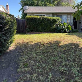 Bush Trimming by KG Grounds reviewed on April 20, 2026