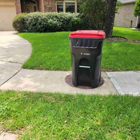 turf maintenance by Tim's lawn care reviewed on August 15, 2025